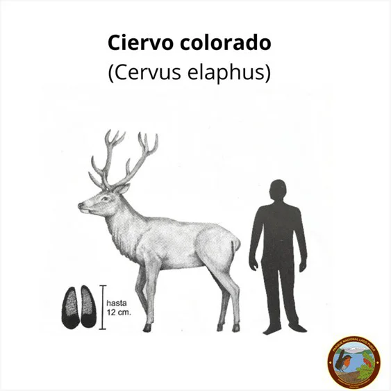 642488681_18075753101617568_8710035168943488783_n