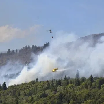 incendio lago menendez 8