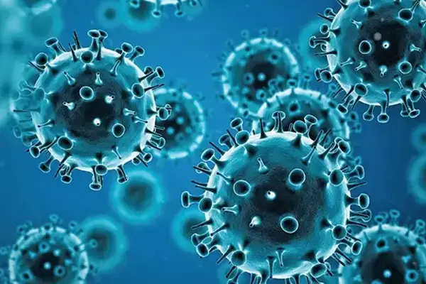 virus gripe