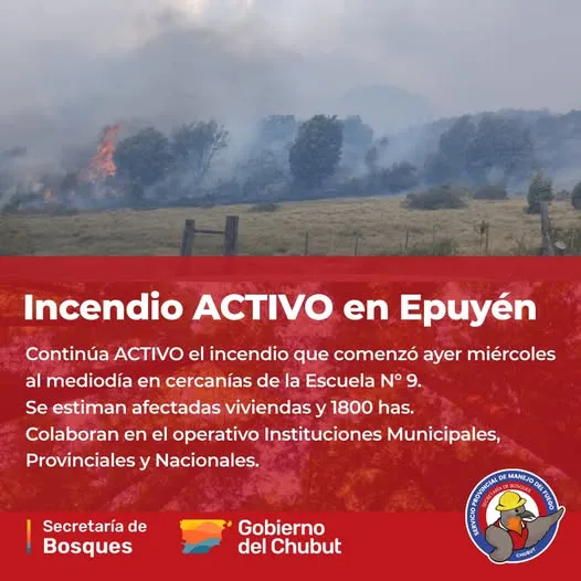 incendio epuyen 6