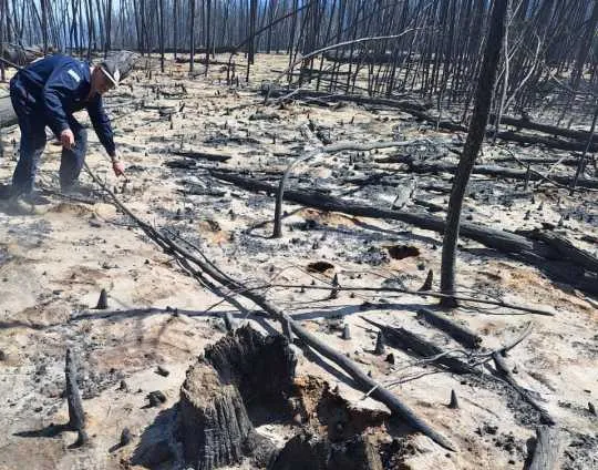 LAGO_PUELO_Puerto_Patriada_Inicio_Incendio_ENERO_2026
