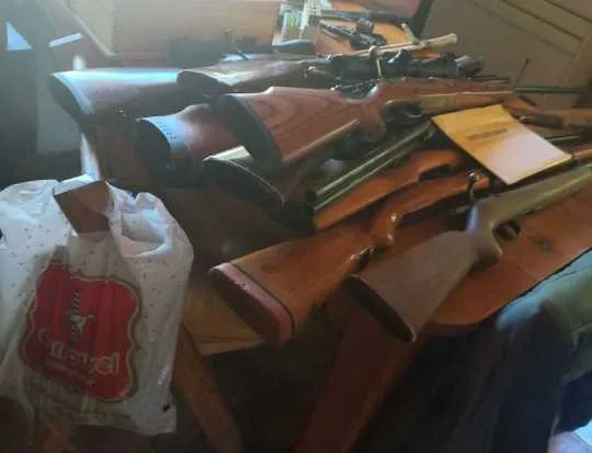 armas violencia de genero 2