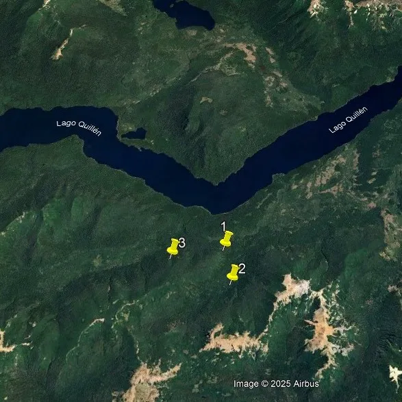 incendio lanin nov 2