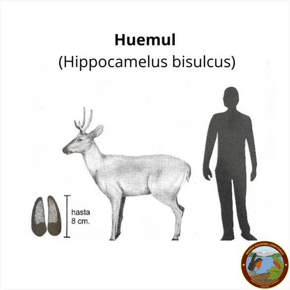 642504936_18075753110617568_4299273006645658207_n