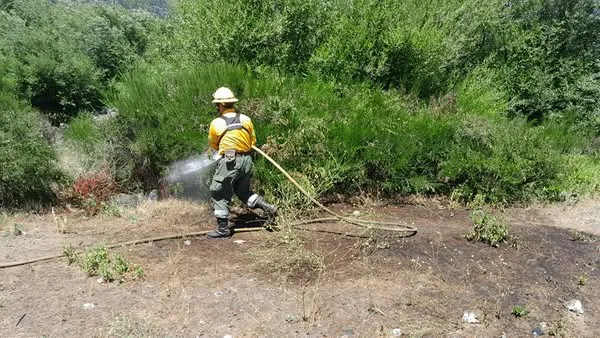 incendio quemquemtreu 1