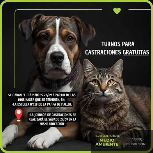 castraciones eb sep