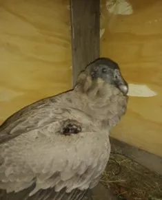 WhatsApp Image 2024-06-03 at 12.00.08