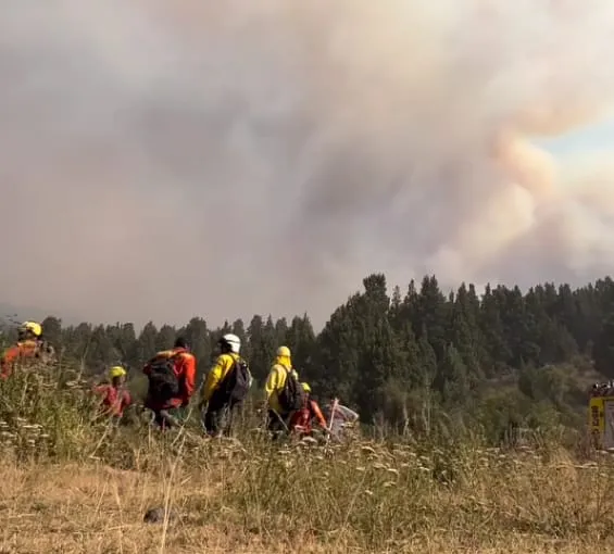 95421664-685f-4e46-946d-b177c4e2299a