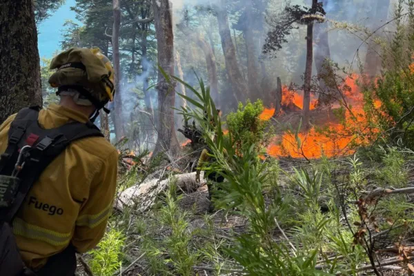 incendio lago menendez 6
