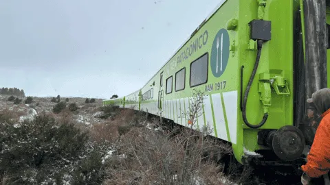 tren_patagonico_descarrillx2.png_186469708