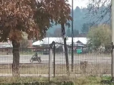 cuatri 2