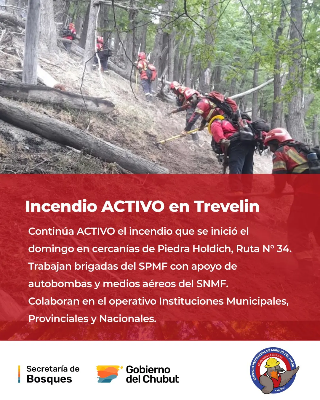 incendio trevelin 5