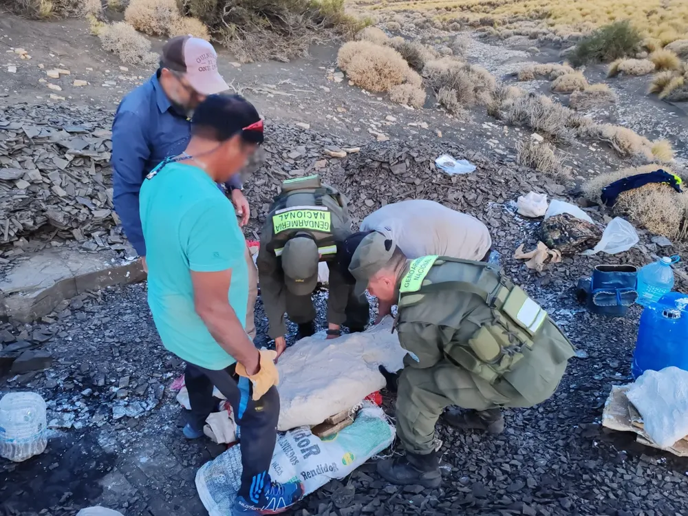 procedimiento_neuquen_-_restos_fosiles_de_un_reptil_marino_1