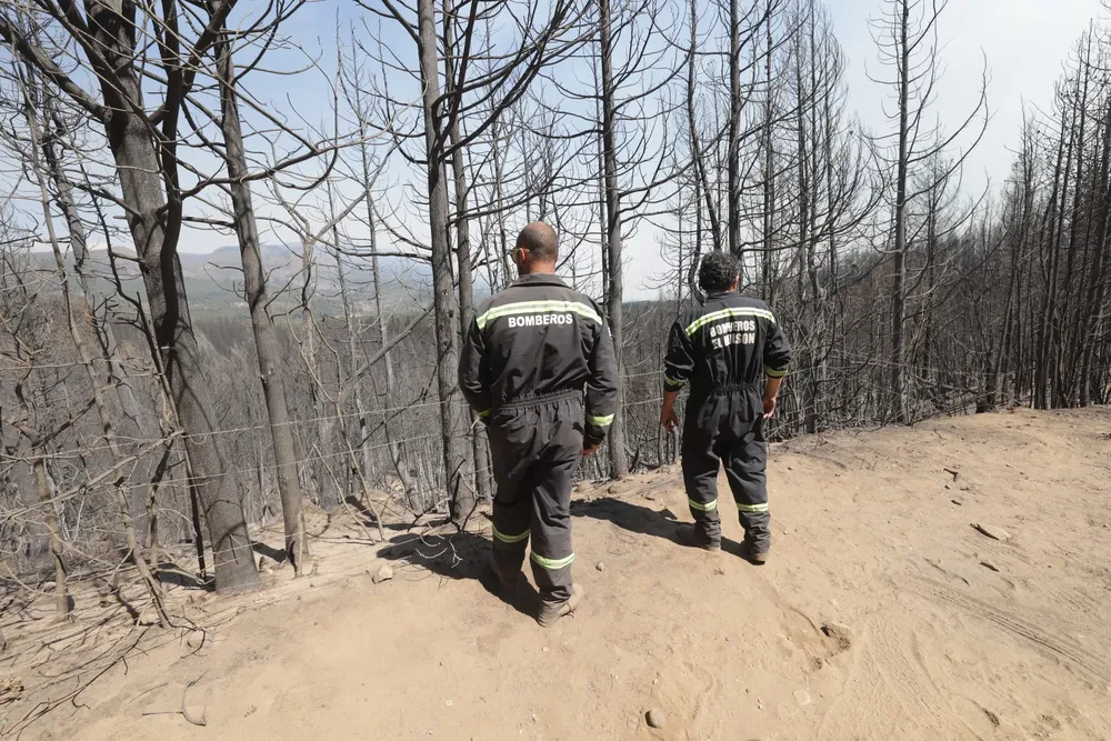 incendio el bolson 22