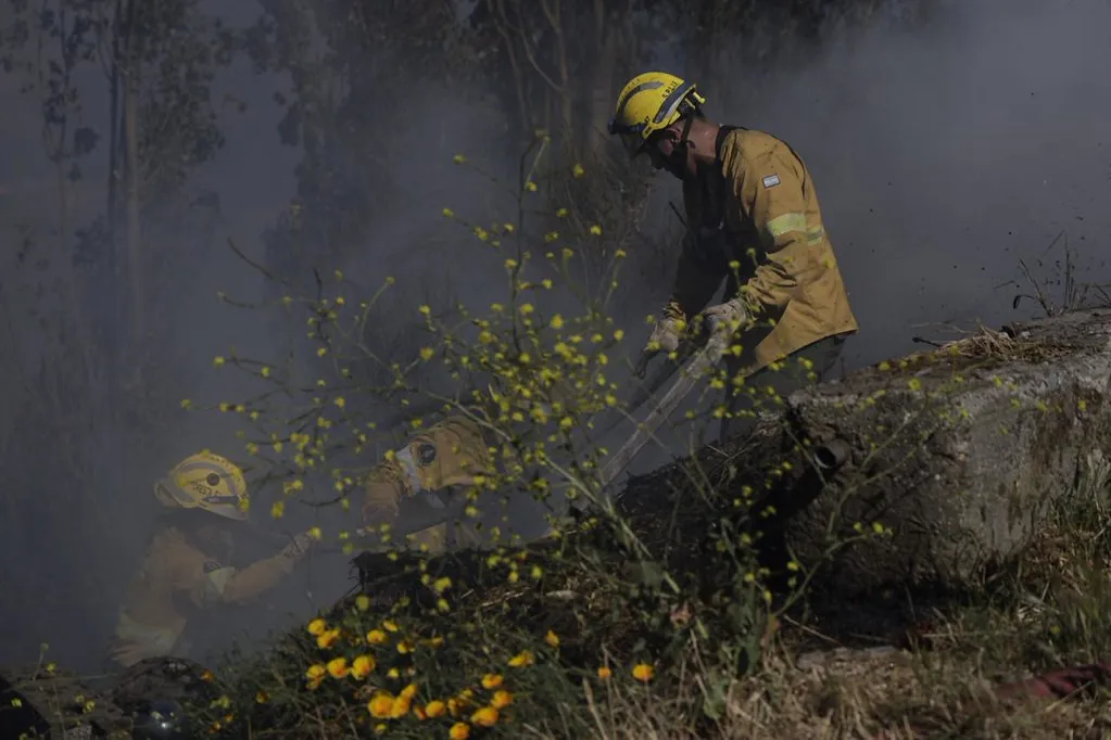 incendios forestales 2026 2