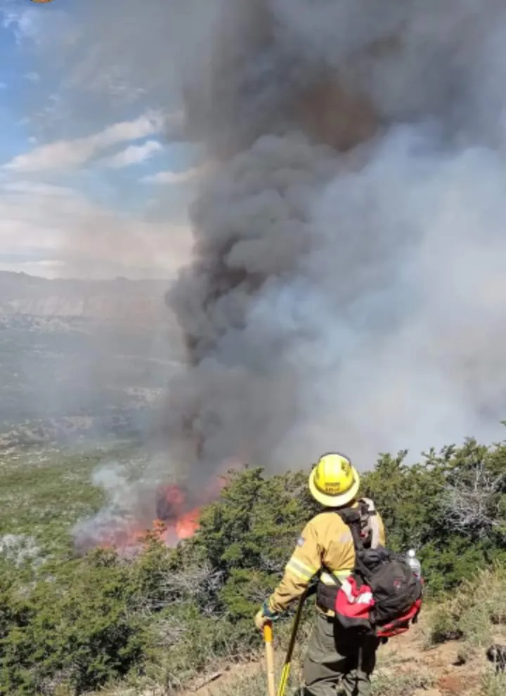 incendio nacientes chubut 3