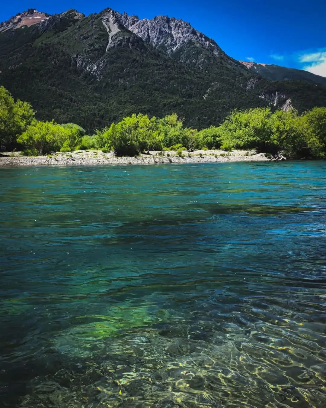 WhatsApp Image 2026-02-05 at 10.34.10