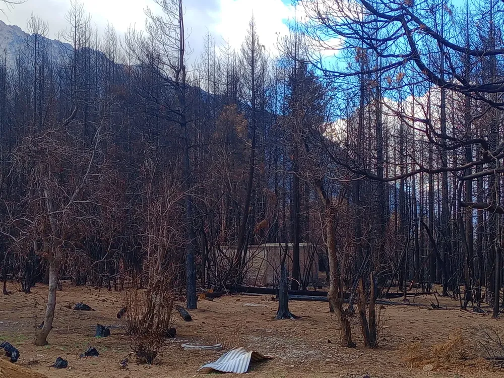 incendio puerto patriada marzo