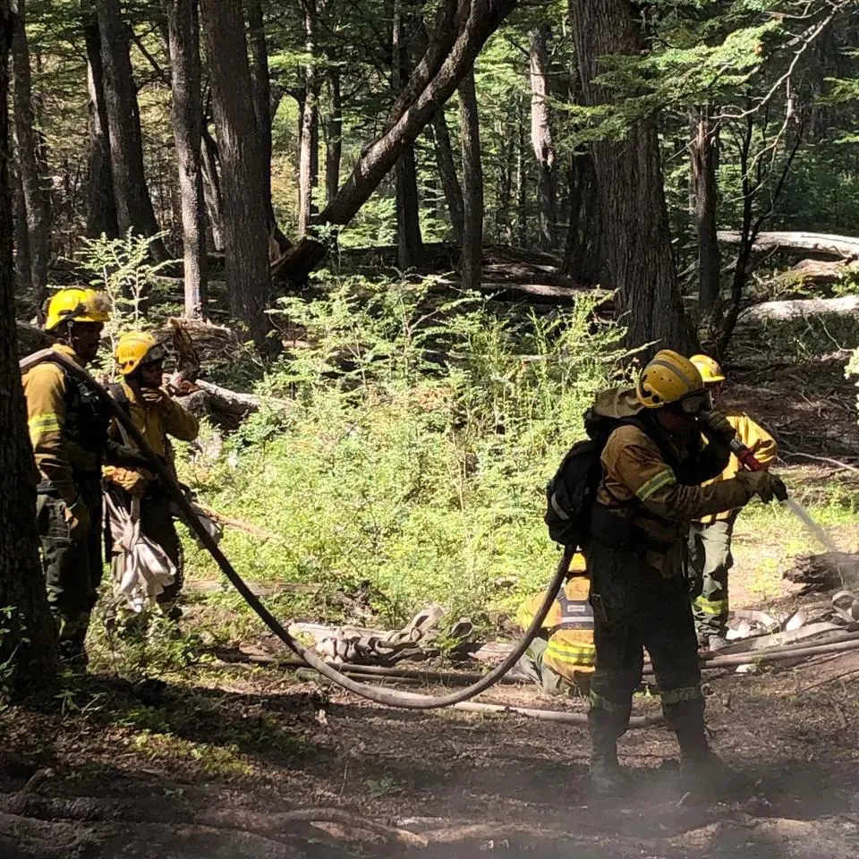 incendio los alerces 37