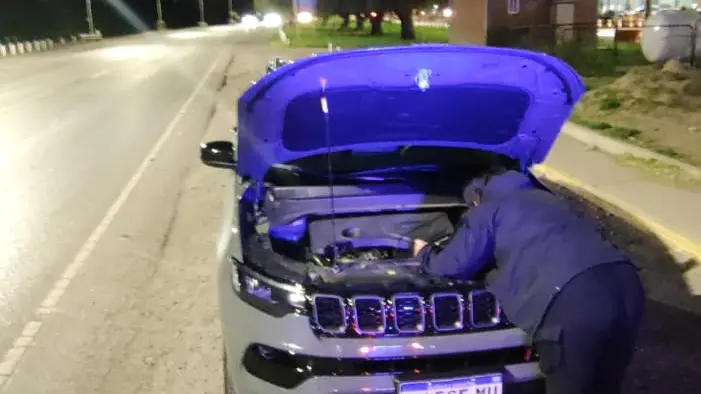 auto gemelo