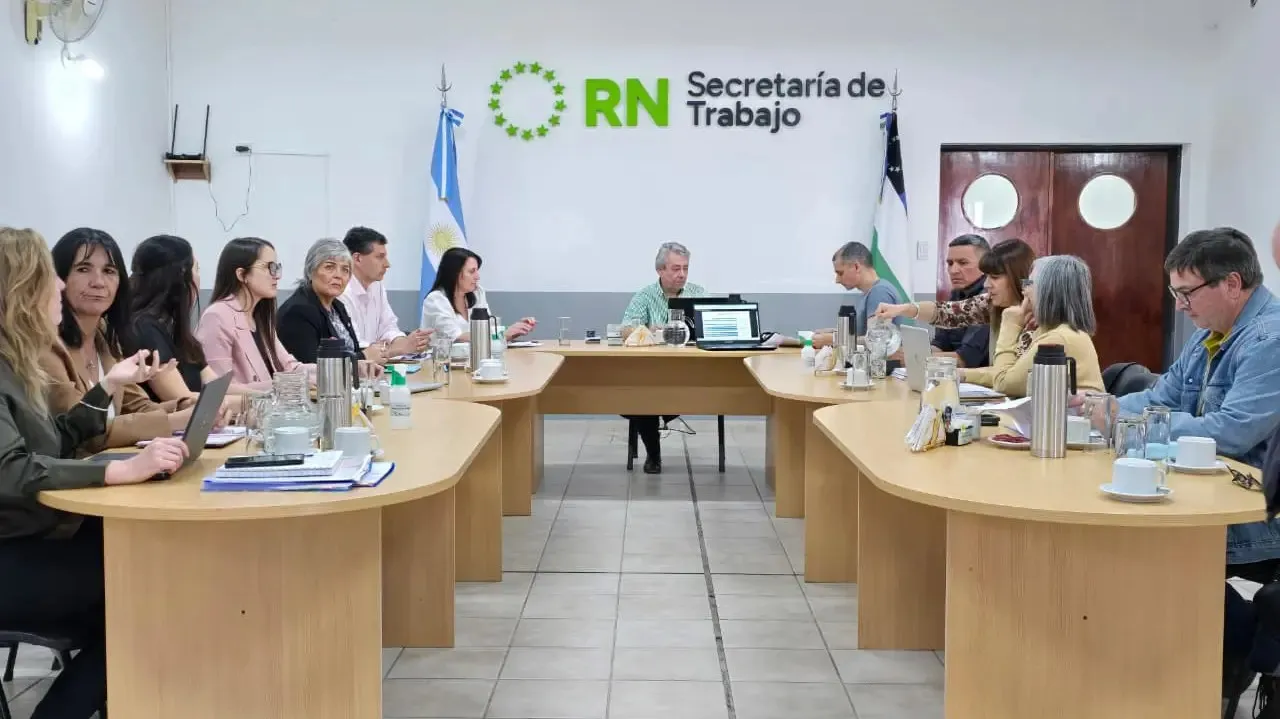 paritaria docente rn 2