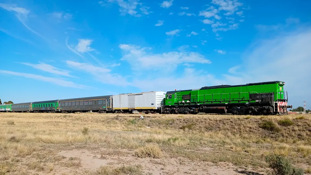tren patagonico mayo