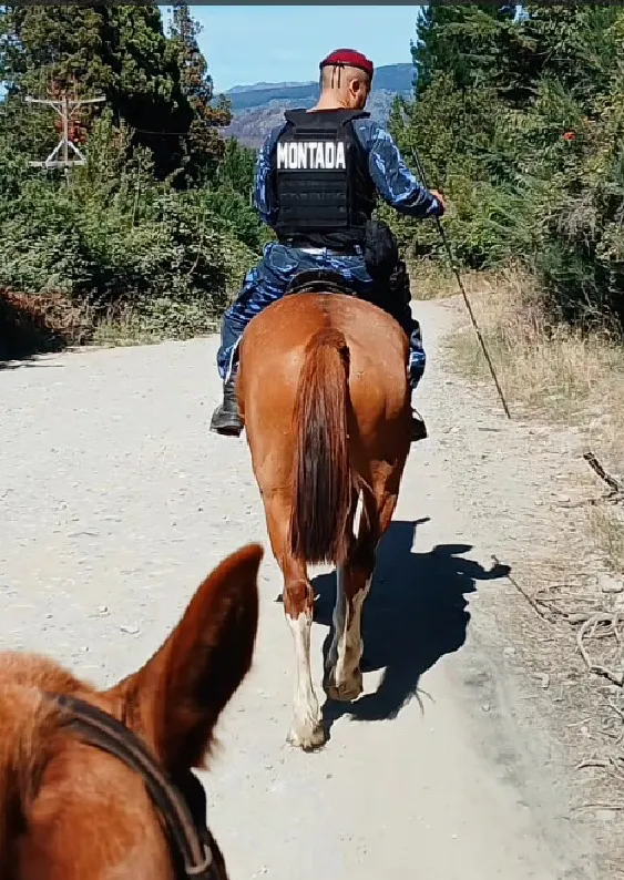 WhatsApp Image 2026-02-02 at 09.54.29