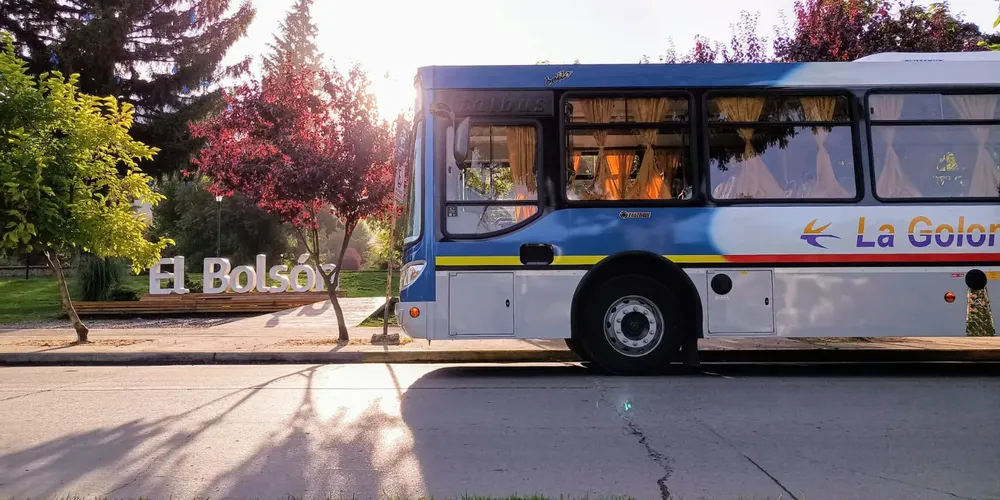 transporte la golondrina oct
