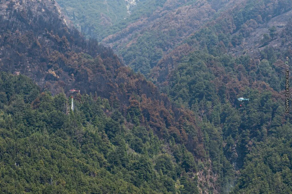 helis-1024x682