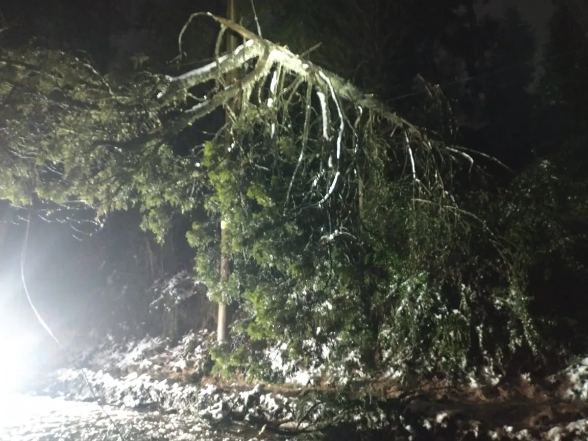 WhatsApp Image 2024-07-02 at 09.18.42