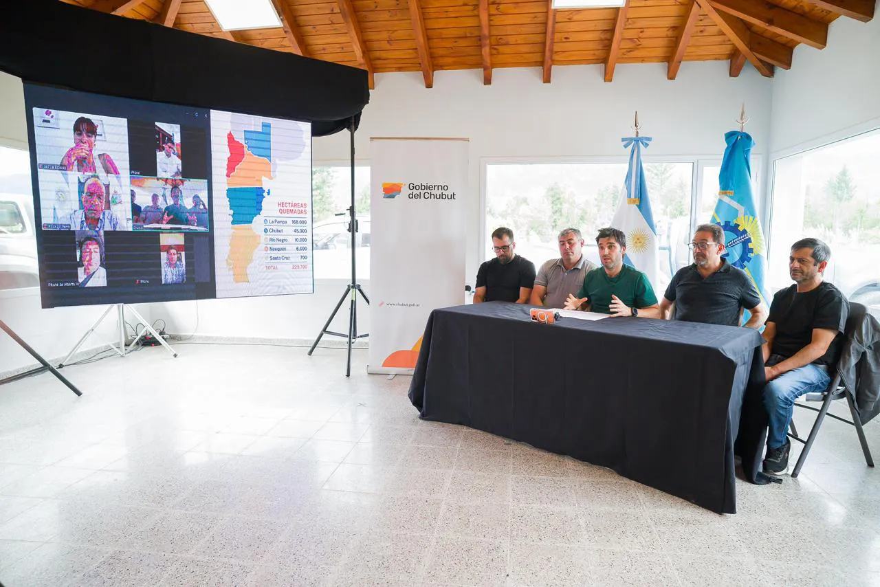 WhatsApp Image 2026-01-27 at 18.33.29