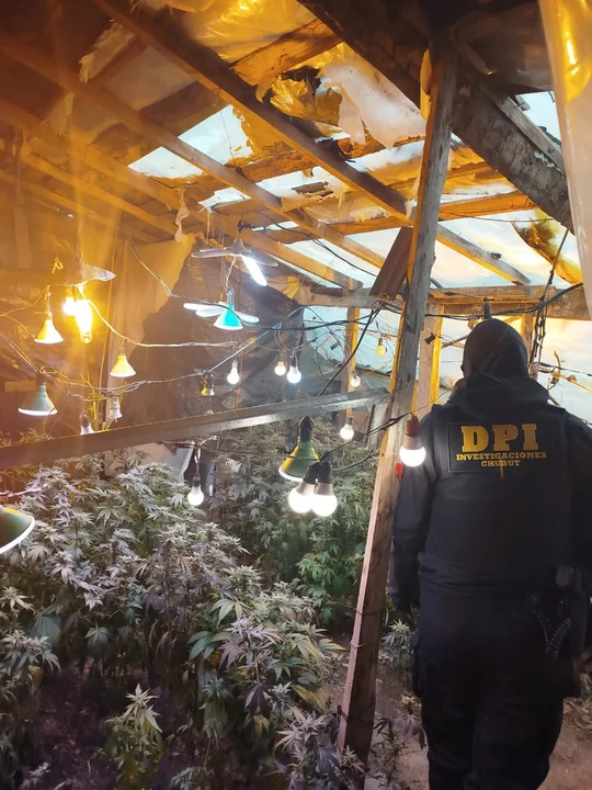 marihuana aldea 2