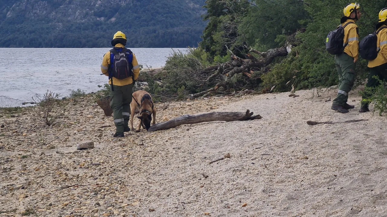 incendio brazo tristeza perito pfa
