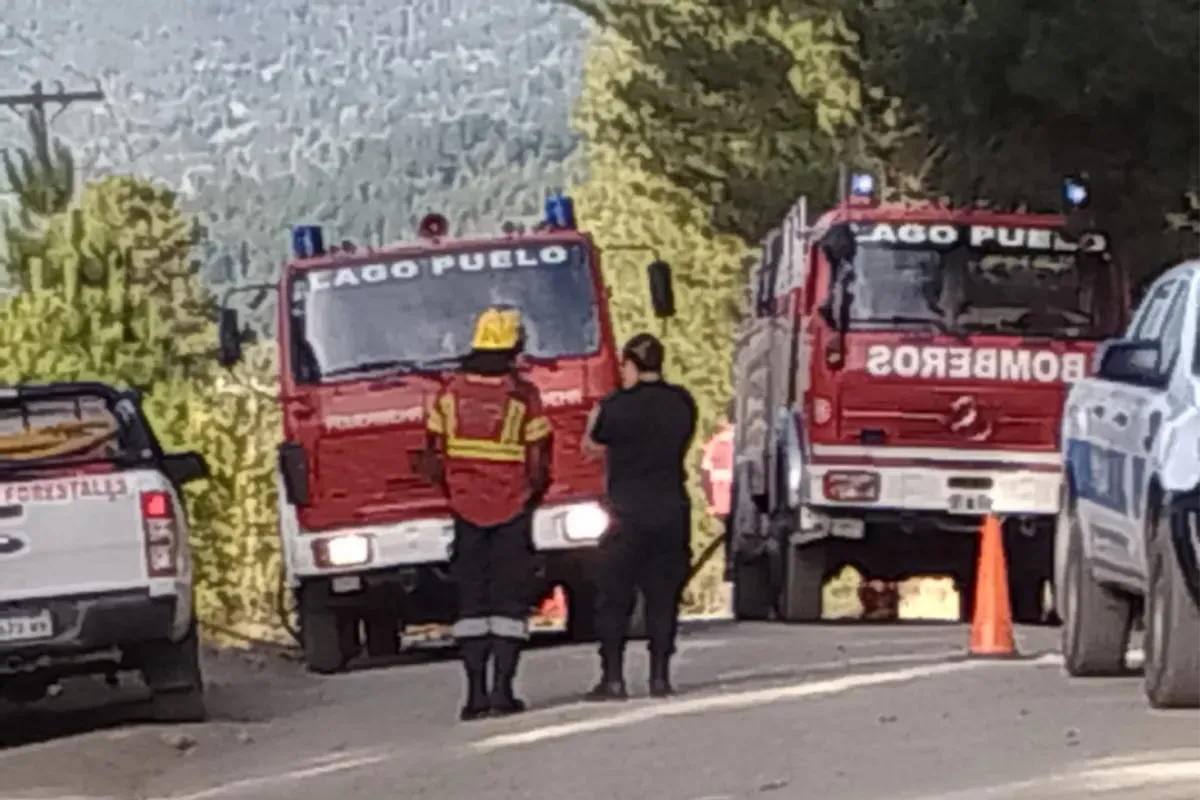 WhatsApp Image 2026-01-25 at 18.48