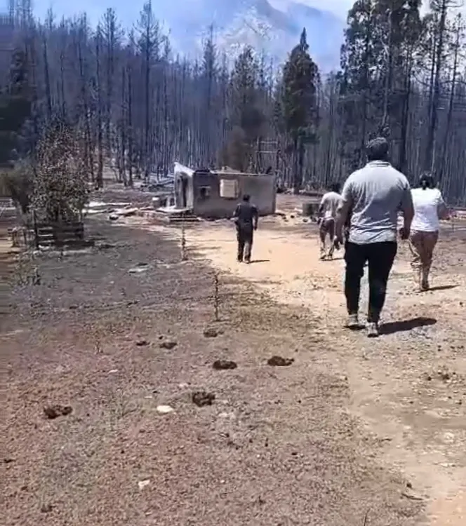 incendio patriada 12