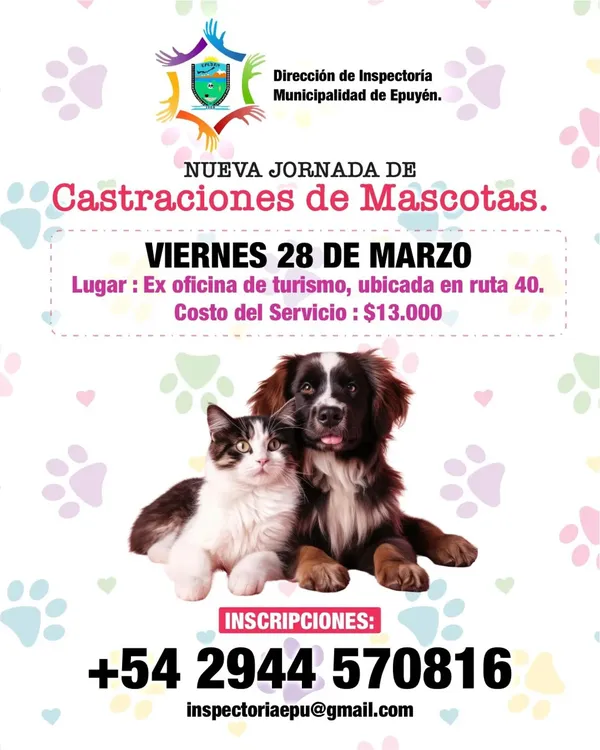 castraciones epuyen marzo