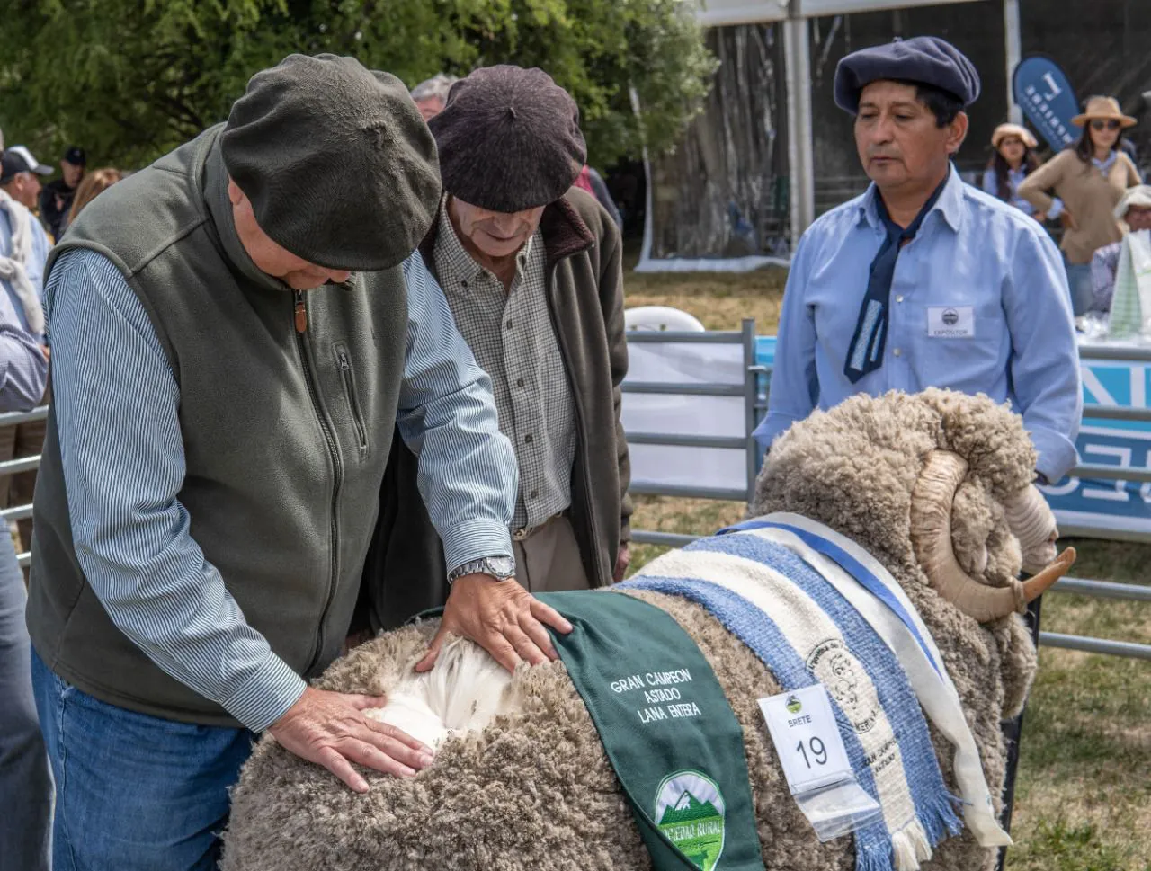 WhatsApp Image 2026-02-03 at 10.10.49