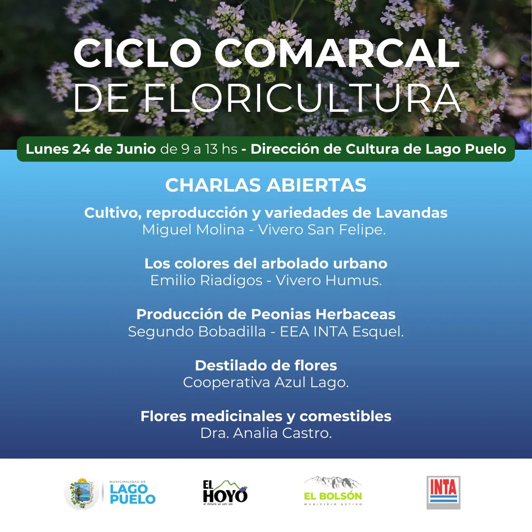 floricultura lp