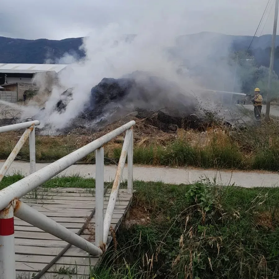 incendio residuos forestales sm