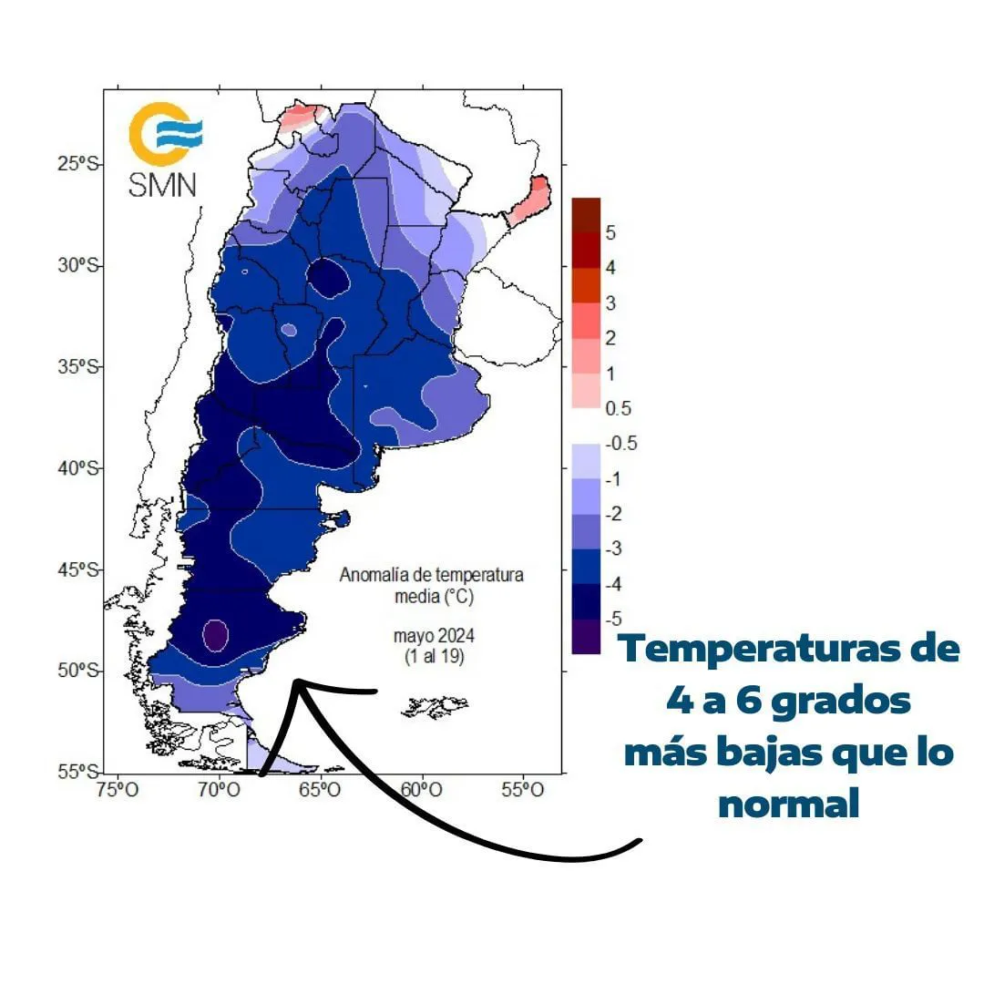 frio mayo