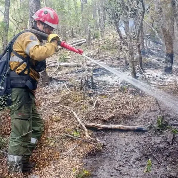 incendio el bolson 37