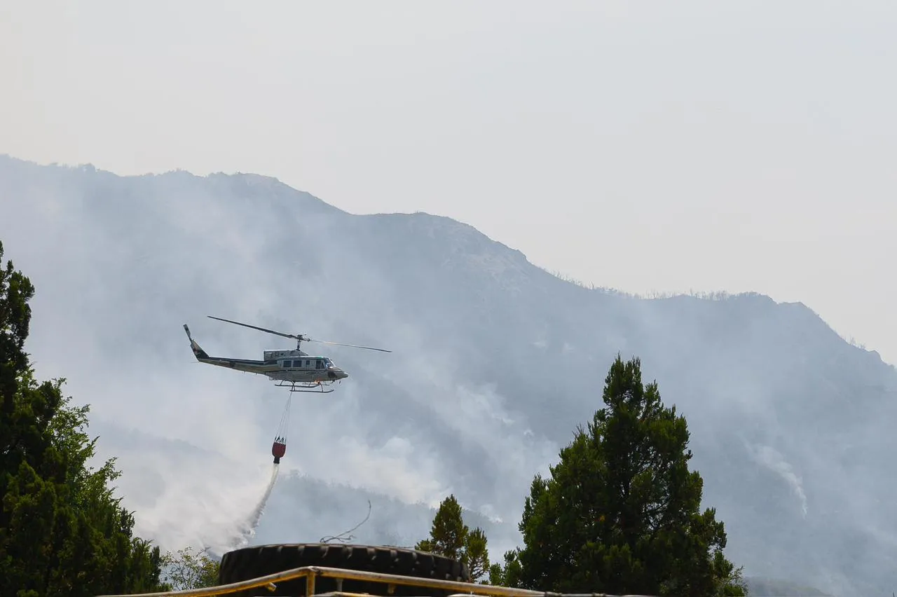 WhatsApp Image 2026-02-06 at 15.34.37