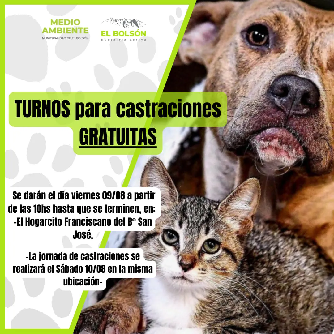 castraciones agosto