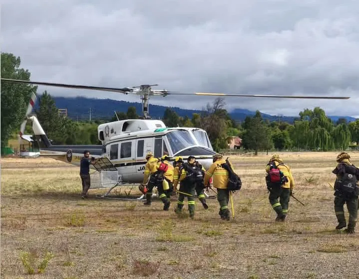 incendio los alerces nov 2