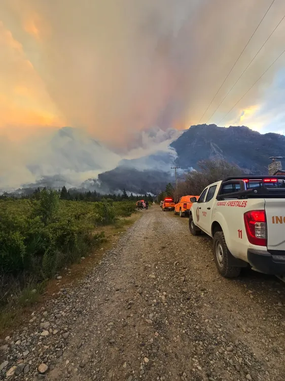 WhatsApp Image 2025-11-19 at 10.07.49