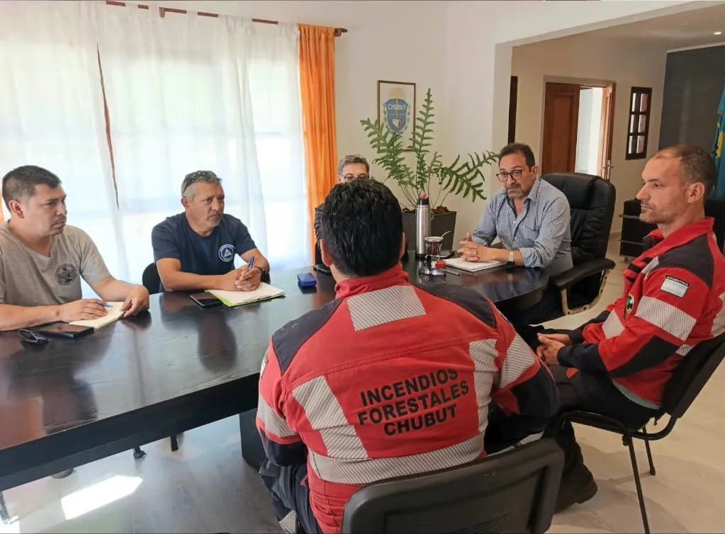 ivan fernadez brigadas ok