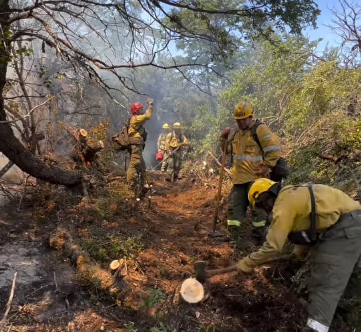 WhatsApp Image 2026-02-05 at 06.25.41 (1)