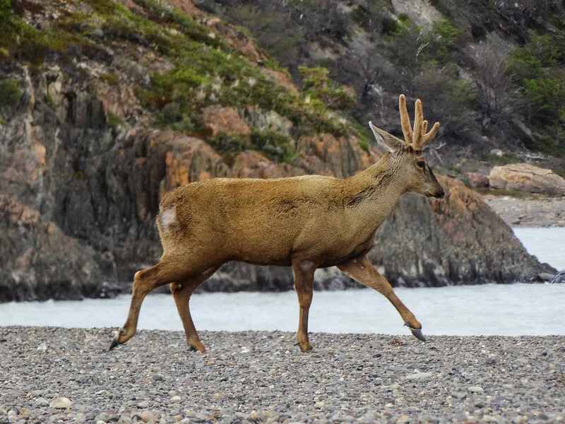 15539299897_3d2d40fe86_c