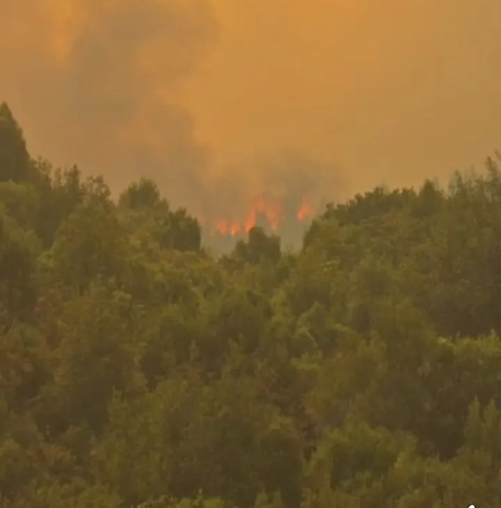 d5e38b25-c6b9-48c9-b9c1-1e8945f6915f