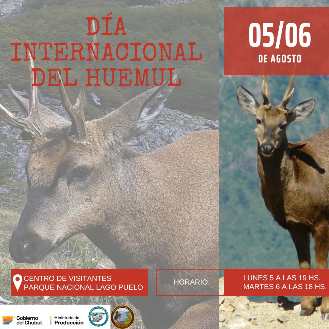 dia huemul